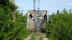 131_TZ60_P1130030_cr