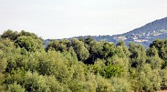 141c_TZ60_P1130037_cr