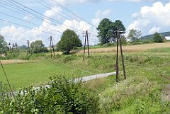 097_TZ60_P1130127a_cr