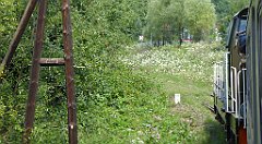 135_TZ60_P1130164_cr