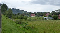 359_TZ60_P1130328_cr