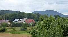 419_TZ60_P1130389_cr