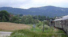 436_TZ60_P1130407_cr