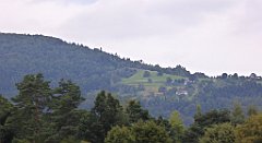 451_TZ60_P1130425_cr