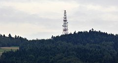 457_TZ60_P1130431_cr