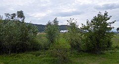 458_TZ60_P1130432_cr