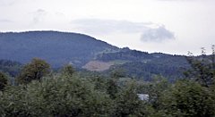 464_TZ60_P1130440_cr