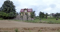 481_TZ60_P1130458_cr