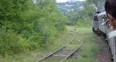 482_TZ60_P1130459_cr