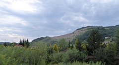 490_TZ60_P1130468_cr