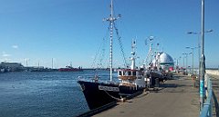 0119_A806_IMG_20160807_081550_cr