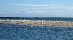 0336a_3D_P1100341_cr