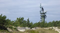 0376_TZ60_P1130777_cr