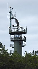 0378a_TZ60_P1130781_cr