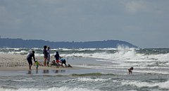 0487_TZ60_P1130857_cr