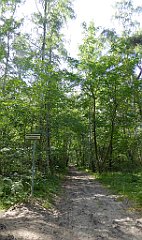 0515_TZ60_P1130867_cr