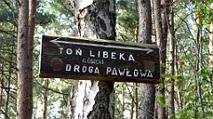 0518_TZ60_P1130870_cr