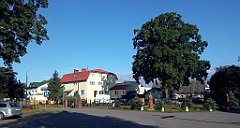 0109_A806_IMG_20160813_080529_cr