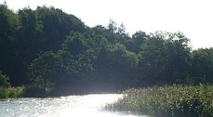 0122b_TZ_P1100490_cr