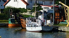 0135a_TZ_P1100492_cr