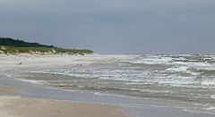 0256a_TZ_P1100561_cr