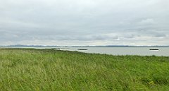 0341b_TZ_P1100582_cr