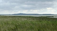 0342a_TZ_P1100578_cr