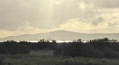 0077_TZ60_P1130923_cr