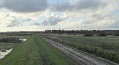 0084_TZ60_P1130930_cr