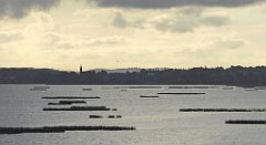 0118_TZ60_P1130957_cr