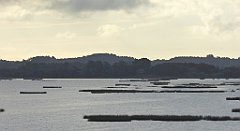 0119_TZ60_P1130959_cr