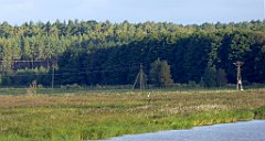 0144_TZ60_P1130989_cr