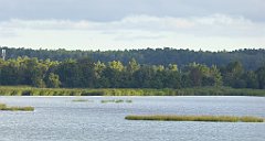 0155_TZ60_P1140012_cr