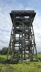 0198_TZ60_P1140025_cr