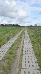 0228_TZ60_P1140047_cr