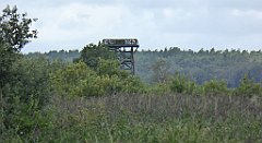 0242_TZ60_P1140055_cr