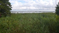 0245a_3D_P1100790_cr