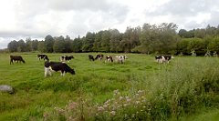 0278a_A806_IMG_20160815_082510_cr