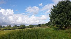 0298a_3D_P1100814_cr