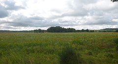 0317a_3D_P1100830_cr