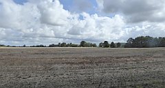 0351_TZ60_P1140106_cr