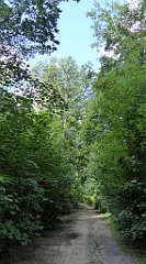 0404_TZ60_P1140123_cr