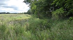 0431_TZ60_P1140131_cr