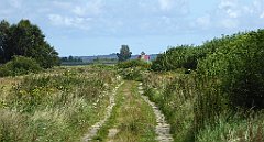 0537_TZ60_P1140161_cr