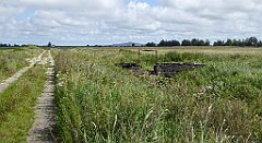 0541_TZ60_P1140165_cr