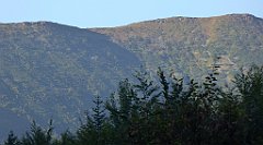 0011_TZ60_P1140208_cr