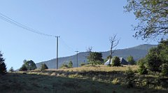 0029_TZ60_P1140224_cr