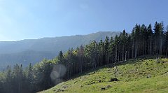 0065_TZ60_P1140238_cr