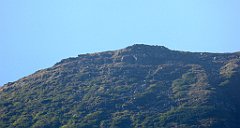 0067_TZ60_P1140240_cr