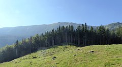 0090_TZ60_P1140265_cr